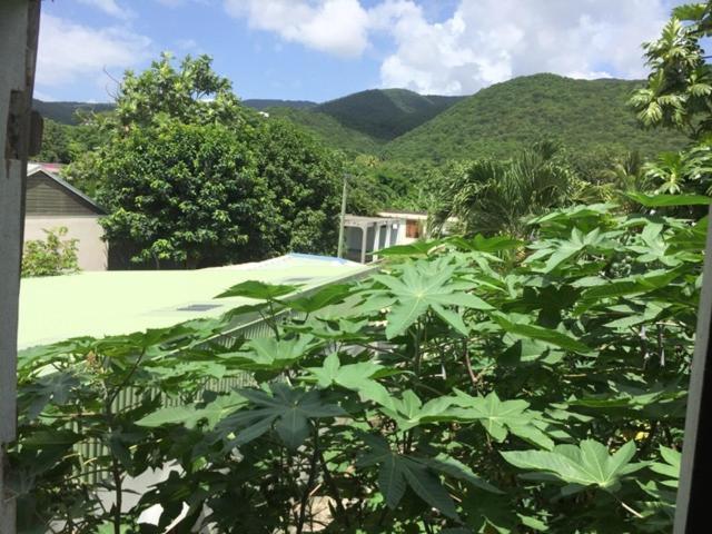 Habitation Baliache - Maison Creole Avec Jardin Privatif, Plage A 200M Deshaies Dış mekan fotoğraf